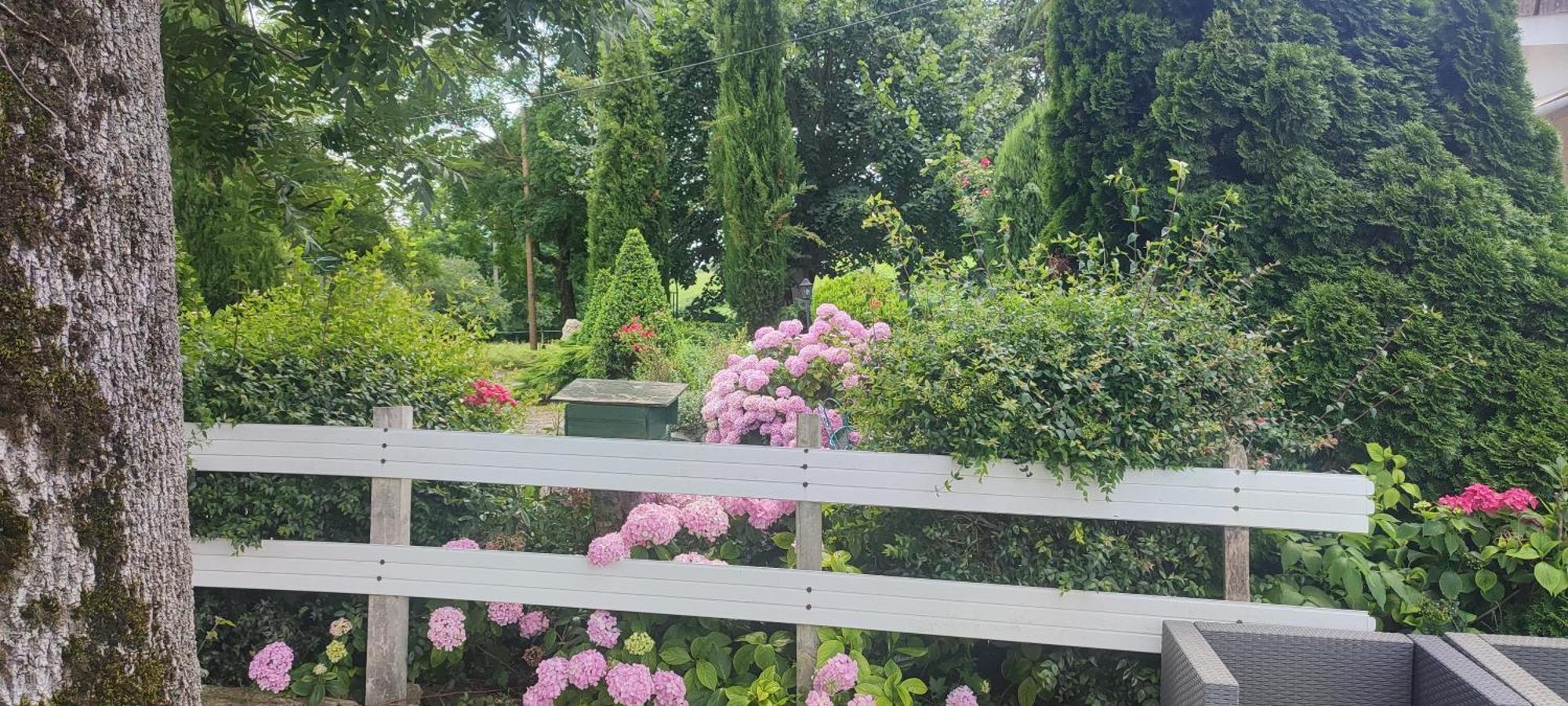 Domaine Le Lanis Chambre D'Hotes Piscine Spa Privatise Sur Reservation 생지롱 외부 사진